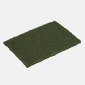 Scouring Pad, Green